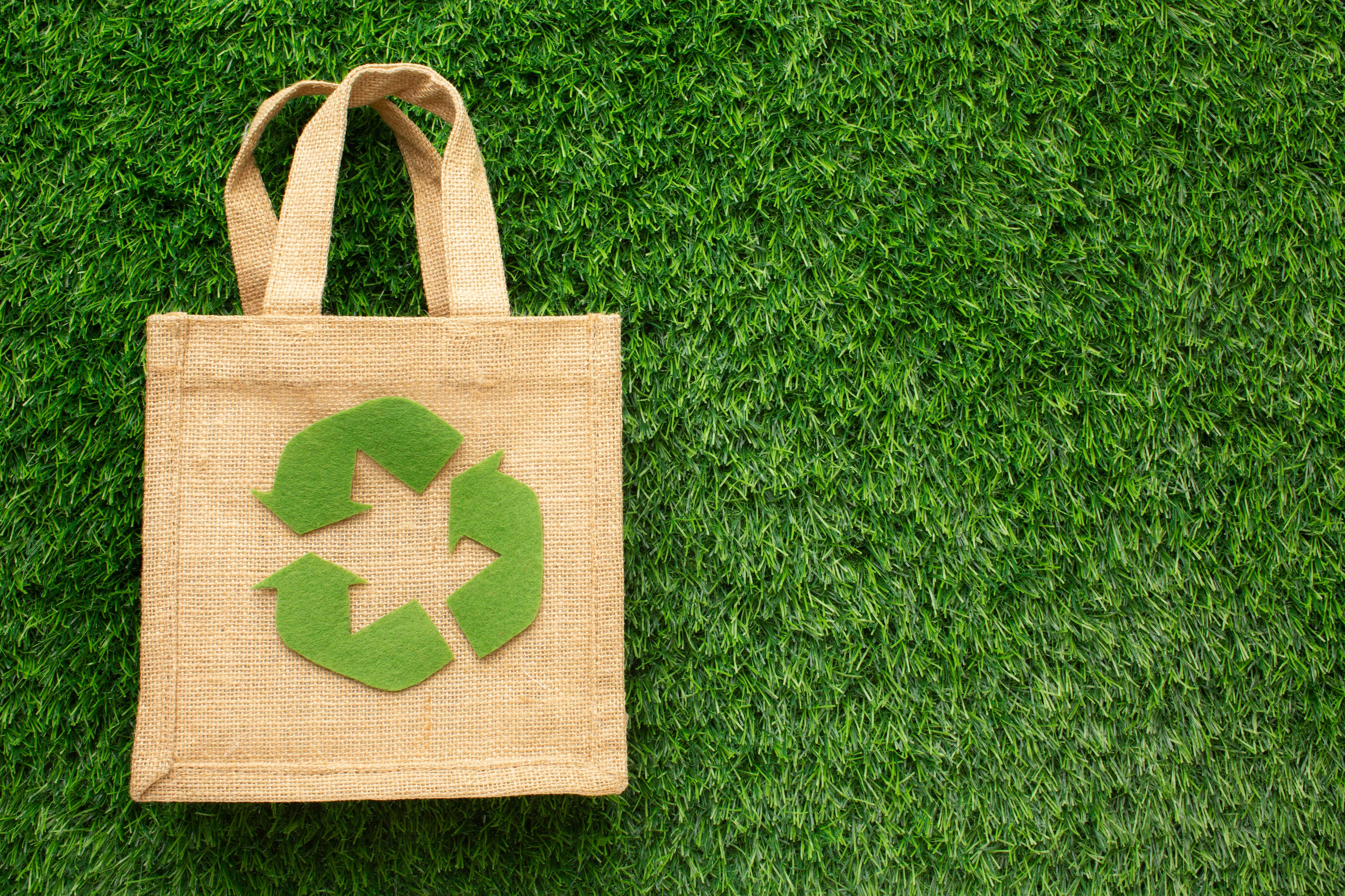 Sustainable Packaging: The Future of Eco-Friendly Business Solutions